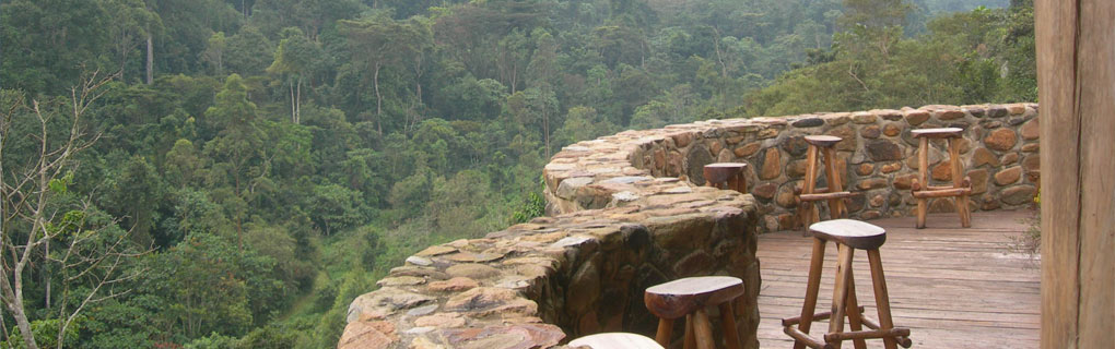 The gorilla lodge Experience of comfort directly from the tropical forest